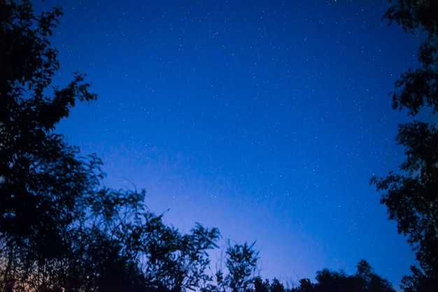 Céu azul escuro à noite na floresta com estrelas brilhantes como fundo do espaço