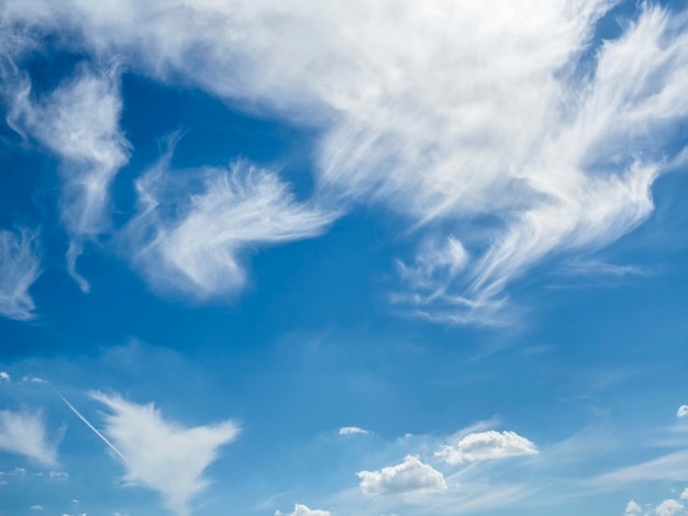 Céu azul panorâmico com nuvens cirros e copyspace