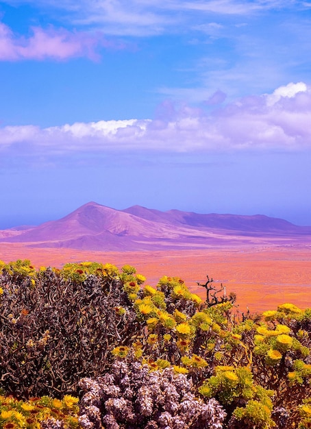 Céu azul vulcânico e deserto Paisagem panorâmica do campo