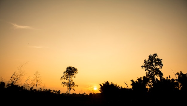 Céu claro com luz dourada do efeito do nascer do sol e campo na frente da cena, Belo exterior natural para o fundo do vintage