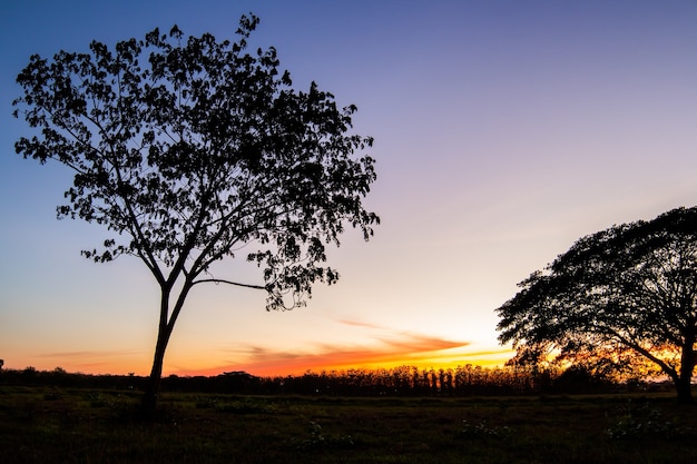 Céu colorido dramático com nuvem ao pôr do sol