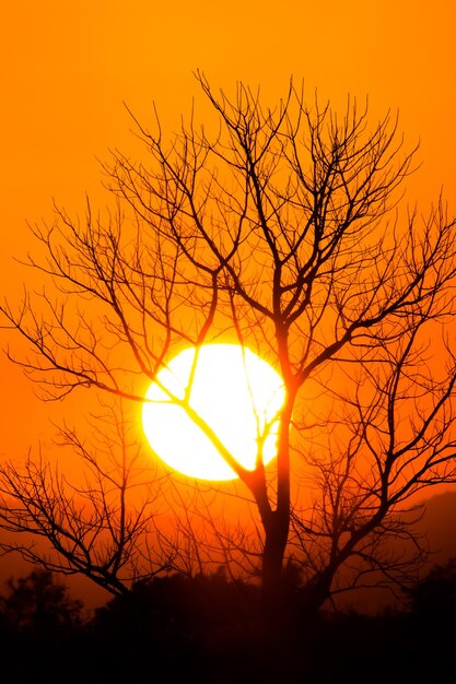 Foto céu colorido e dramático com nuvens ao pôr-do-sol