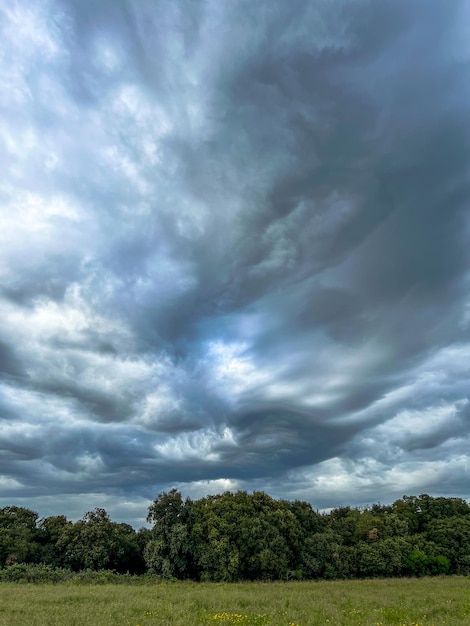 Foto céu com nuvens de tempestade sobre o campo de cultivo