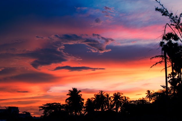 Céu da noite