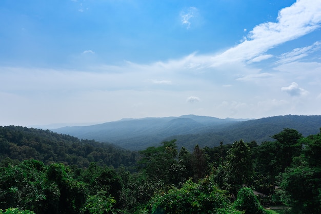 Céu de fundo de paisagem e floresta tropical