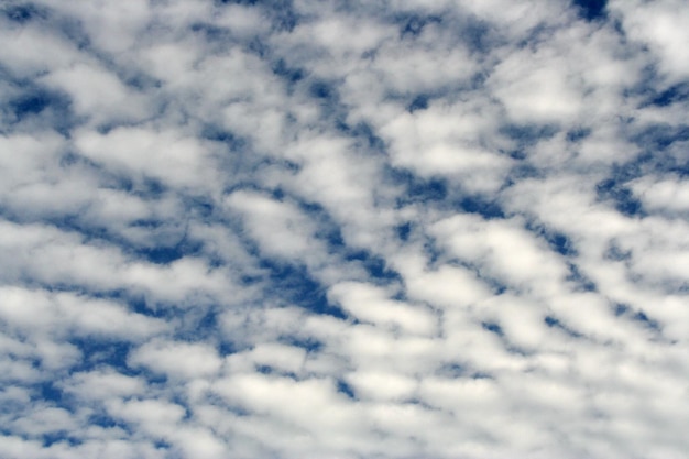 céu de hoje Lindas nuvens brancas onduladas