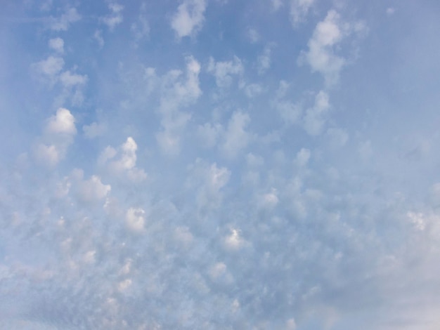 céu de mackerel