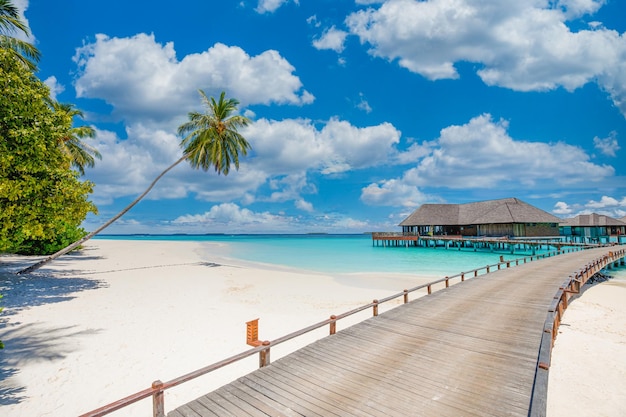Céu do mar da praia das Maldivas. Belas palmeiras com bangalô de luxo sobre a água. Turismo de viagens exóticas