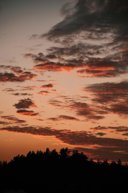 Céu do pôr do sol com gradientes de laranja vívidos e nuvens sobre a área rural de pinheiros e casas Noite na vila aconchegante