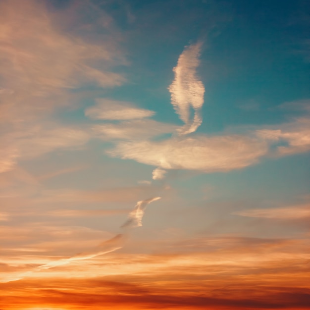 Céu do sol com nuvens bonitas