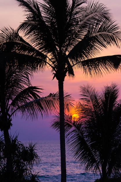 Céu dramático do crepúsculo do sol bonito com sol de clima tropical.