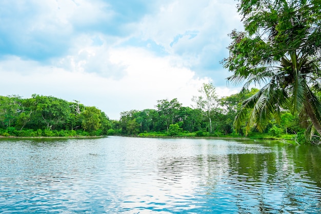 céu e árvores verdes no lago