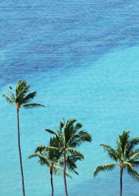 Céu e mar azul aqua