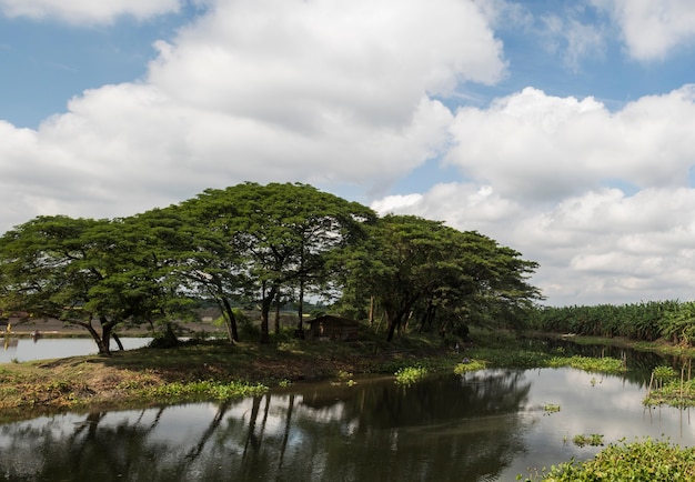 Foto céu e nuvem