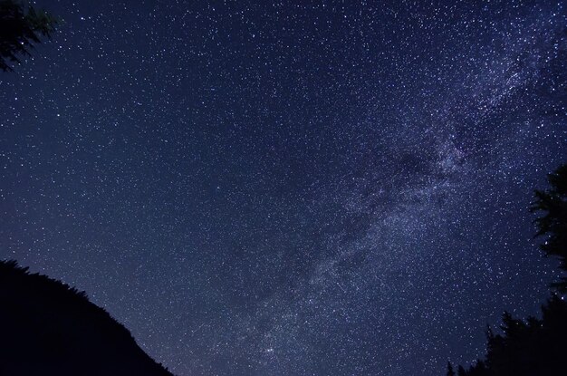 Céu estrelado