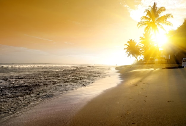 Céu laranja sobre o oceano e a praia arenosa