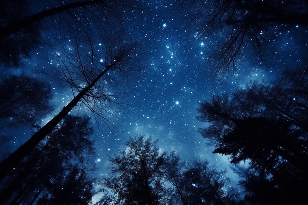Céu noturno cheio de estrelas e uma Via Láctea visível