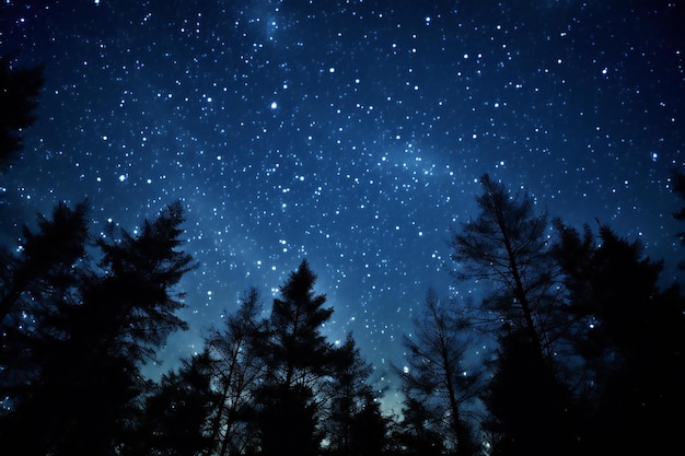 Céu noturno com estrelas e silhuetas de árvores na floresta