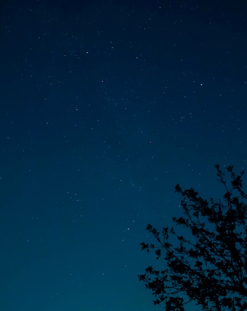 Céu noturno com estrelas