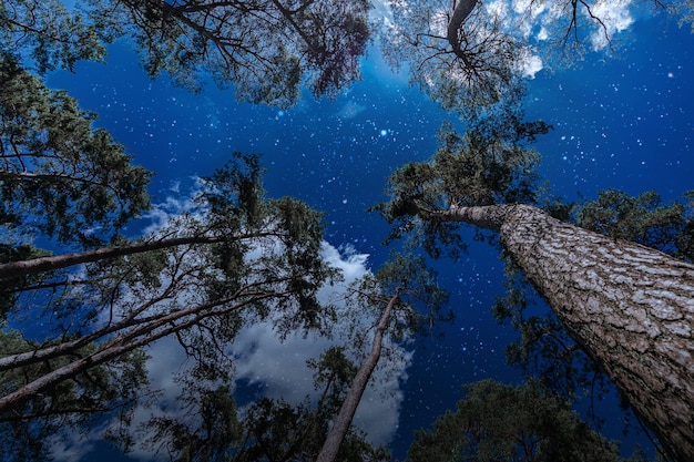 Céu noturno de fundos com estrelas e nuvens.