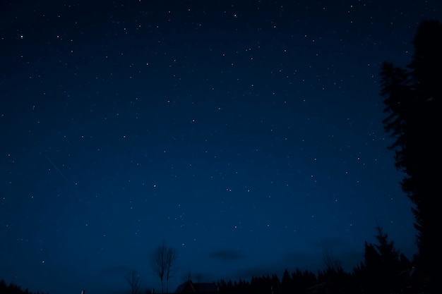 Céu noturno estrelado na floresta. Noite nas montanhas. silhueta da noite