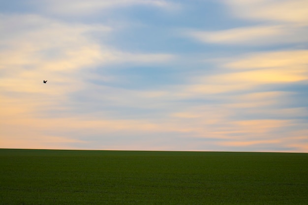 Céu nublado impressionante no campo