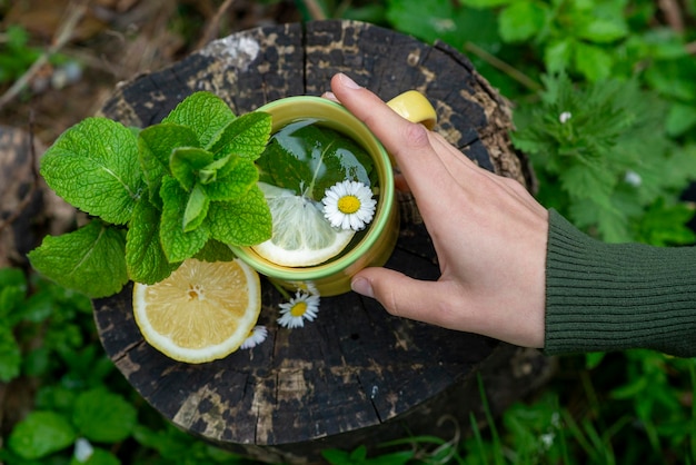 Chá com hortelã limão e camomila na natureza