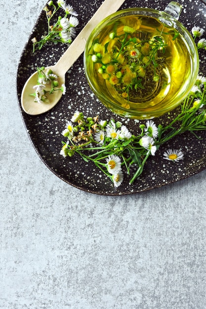 Chá de camomila fresca. Bebida de desintoxicação à base de plantas. Keto chá Keto dieta.