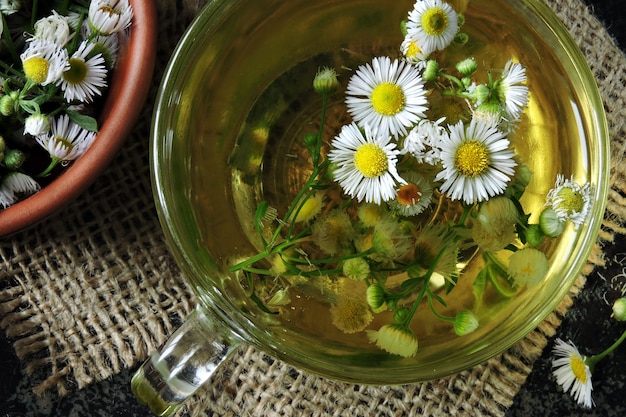 Chá de camomila fresca. Bebida de desintoxicação à base de plantas. Keto chá Keto dieta.