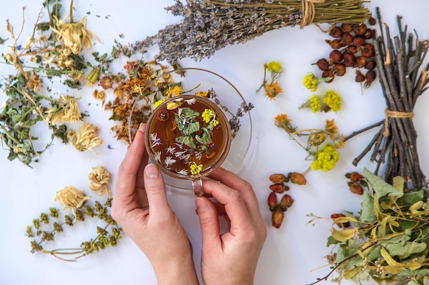 Chá de ervas com ervas medicinais e flores Foco seletivo