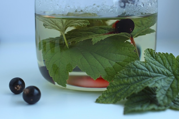 Chá de ervas de folhas de groselha com bagas de groselha em um bule