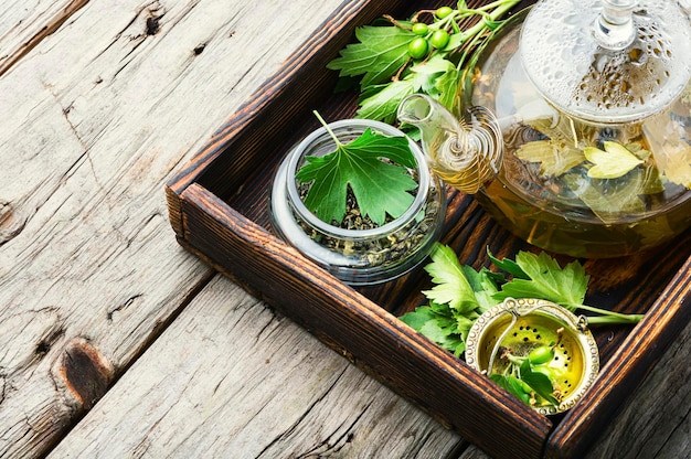 Chá de ervas fermentado em um bule de vidro elegante. Chá de folhas de groselha, chá de ervas.