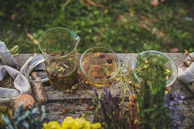 Chá de ervas medicinais Foco seletivo