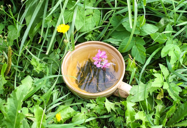 Chá de ervas naturais com flores roxas frescas de fireweed medicinal e folhas em copo de cerâmica na grama verde de verão.