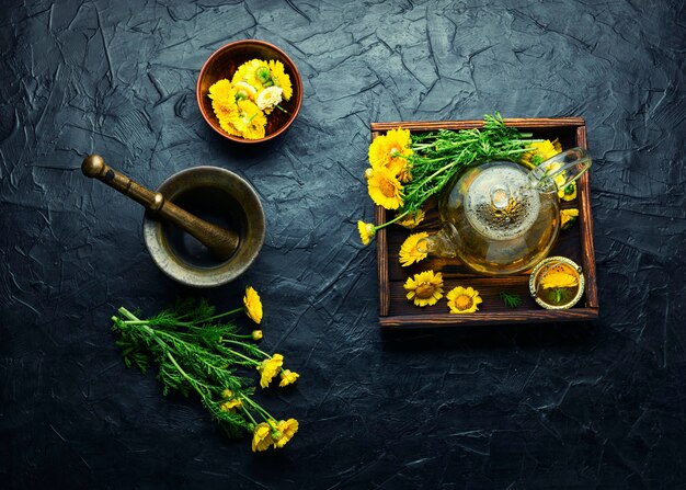 Chá de flores curativas. bule com chá de flor de crisântemo. fitoterapia. chá de cerveja