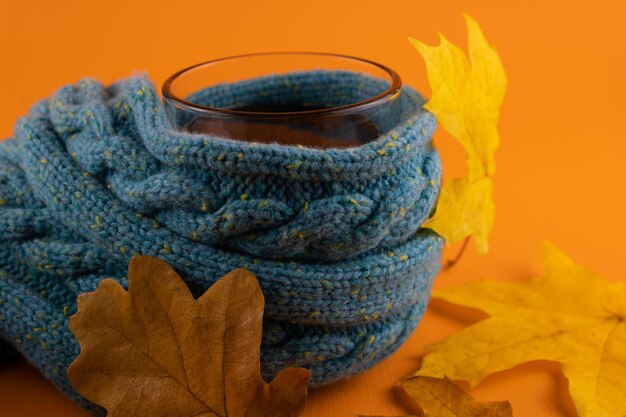 Chá em um suéter quente e folhas de outono de carvalho e bordo