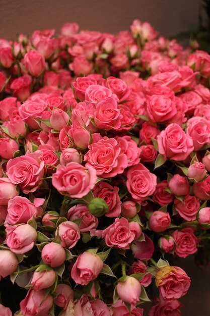 Foto chá rosa bouquet de rosas cor rosa um presente para uma menina uma mulher cortar flores botânica