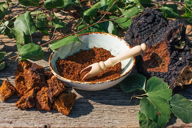 Chaga-Tee, ein starkes Antioxidans, stärkt das Immunsystem gesunde, natürliche, wilde Chaga-Pilze