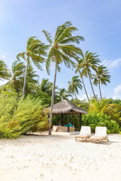 Chaiselongue-Konzept Exotische Strandlandschaft für Paare oder Flitterwochen zum Entspannen