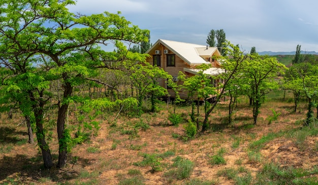 Chalé de madeira em uma área verde exuberante no deserto. casa de hóspedes. conceito de viagens.