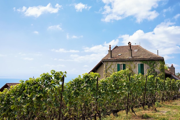 Chalé na trilha de caminhada Lavaux Vineyard Terrace, distrito de Lavaux-Oron, Suíça