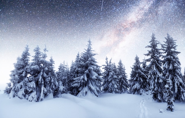 Chalés nas montanhas à noite sob as estrelas. Cortesia da NASA. Evento mágico em dia gelado.