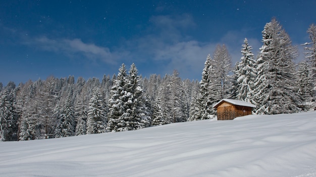 Chalet im Val di Fassa