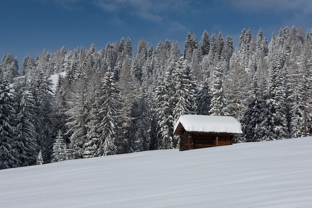 Chalet im Val di Fassa