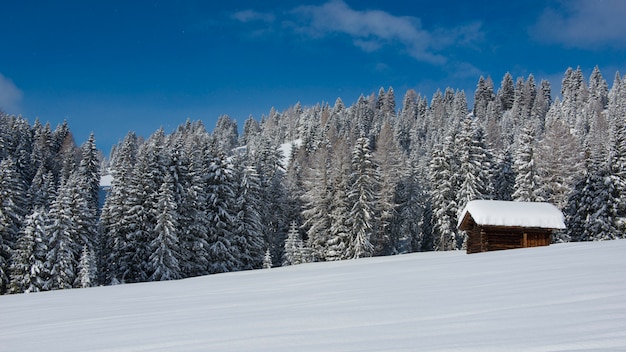 Chalet im Val di Fassa