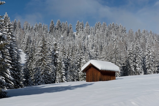 Chalet im Val di Fassa