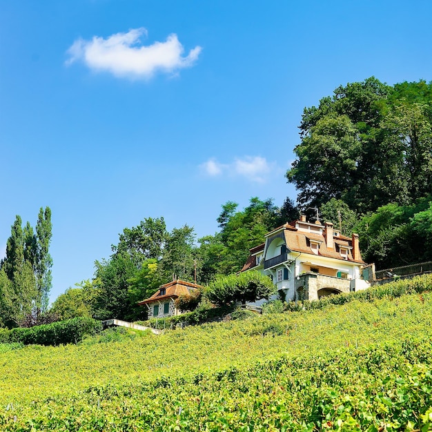 Chalet en la ruta de senderismo de terrazas de viñedos de Lavaux, distrito de Lavaux-Oron, Suiza