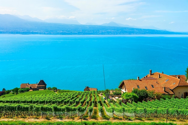 Foto chalets in der nähe von weinbergterrassen-wanderweg von lavaux, genfersee und schweizer bergen, bezirk lavaux-oron in der schweiz