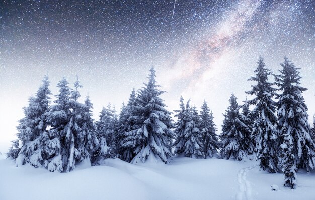 Chalets en las montañas en la noche bajo las estrellas. Cortesía de la NASA. Evento mágico en un día helado.