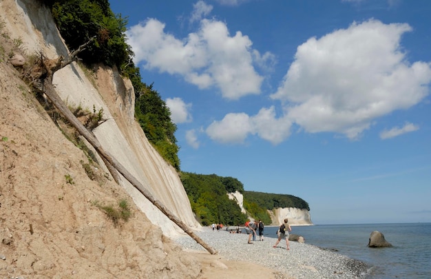 Chalk Cliffs of Ruegen parque nacional Jasmund Ruegen Rugia MecklenburgWestern Pomerânia Alemanha